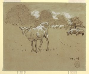 ドローイング、野原で草を食む羊、1875-78年頃 作： ウィンスロー・ホーマー