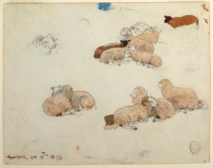 ドローイング、羊の休息、1878年10月15日