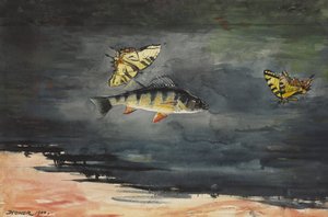 魚と蝶、1900 作： Winslow Homer