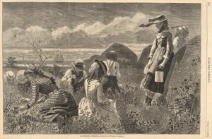 ハーパーのベリーを集める 作： Winslow Homer