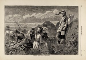 ベリー摘み（1874年7月11日号『Harper