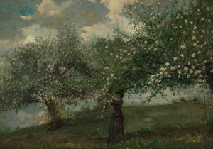 リンゴの花を摘む少女 作： Winslow Homer