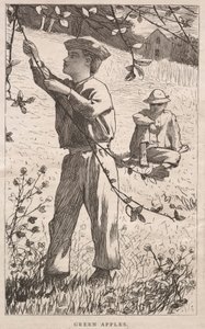 青りんご 作： Winslow Homer