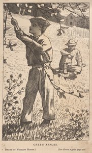 青りんご 作： Winslow Homer