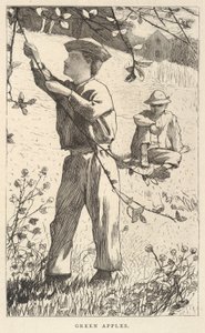 青リンゴ（1868年8月、『Our Young Folks』より 作： Winslow Homer