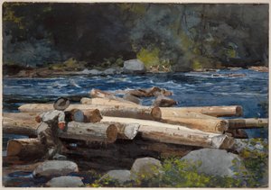  作： Winslow Homer