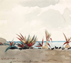  作： Winslow Homer