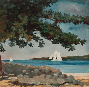ナッソー：水とヨット、1899年 作： Winslow Homer