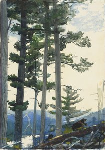 古い入植者たち 作： ウィンスロー・ホーマー