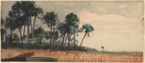 ヤシの木、赤 作： Winslow Homer