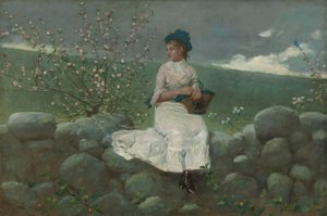 桃の花、1878年。 作： Winslow Homer