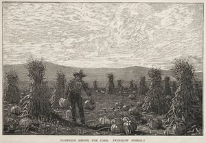 トウモロコシの中でカボチャ、1878。 作： Winslow Homer
