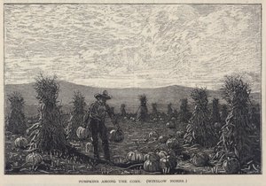トウモロコシの中のカボチャ（『月刊スクリブナー』1878年8月号より 作： ウィンスロー・ホーマー