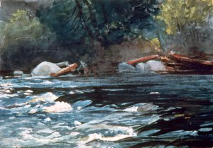 ラピッズ、ハドソン川、1894 作： Winslow Homer