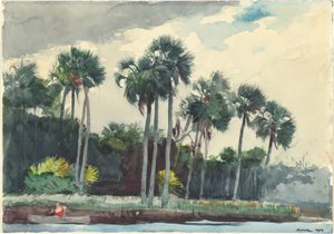 赤シャツ、フロリダ州ホモサッサ 作： Winslow Homer