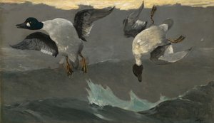 右左 作： Winslow Homer