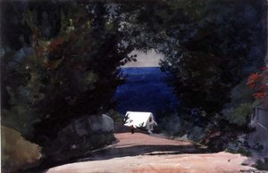 バミューダの道、1899-1901年頃（紙に鉛筆の上に水彩画） 作： Winslow Homer