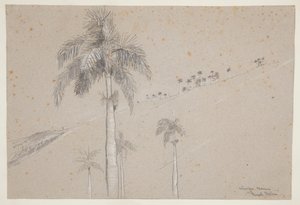 ロイヤル パーム、キューバ 作： Winslow Homer
