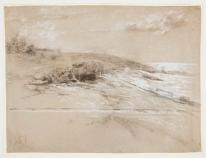 スクラブ松のある海岸、プラウツ ネック、イースタン ポイント 作： Winslow Homer