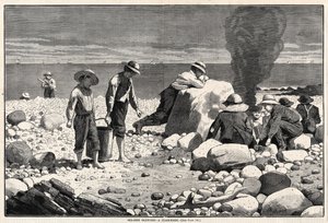  作： Winslow Homer
