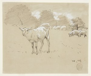 Sheep Grazing in a Field   1246522   ja       japanese Successfully Translated  Original: Hop o My Thumb, illustration from Blackies Childrens Annual Translat: Hop o