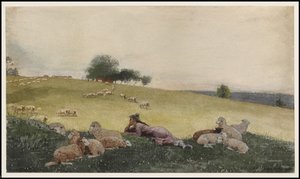 ホートンファームの羊飼い、1878
