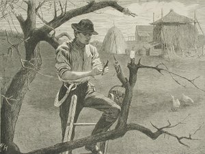  作： Winslow Homer