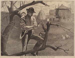 春の農作業-接ぎ木」1870年発行。