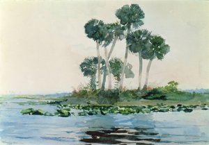 セントジョンズリバー、フロリダ州、1890 作： Winslow Homer