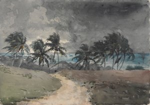 ストーム、バハマ 作： Winslow Homer