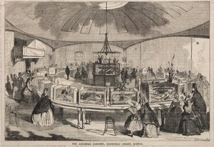 アクアリアルガーデンズ、ブロムフィールドストリート、ボストン、1859年。 作： Winslow Homer