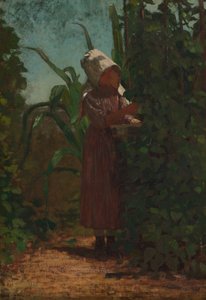 ビーンピッカー 作： Winslow Homer