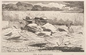 バード・キャッチャー 作： Winslow Homer