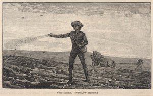スクリブナーズ・マンスリー（1878年8月号）より「種をまく人 作： ウィンスロー・ホーマー