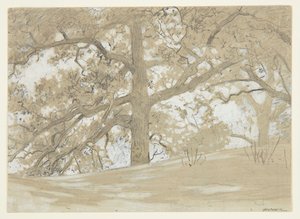 ウェイバリー オークス 作： Winslow Homer
