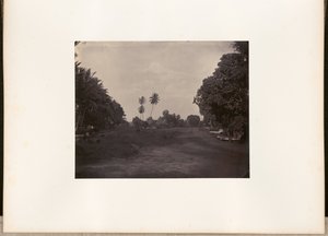 [バタヴィア、プラパタンの道路の舗装工事]。 作： Woodbury and Page