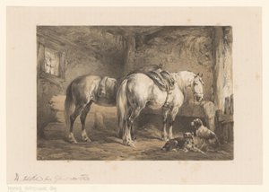 厩舎にいる 2 頭の馬と犬 作： Wouter  Verschuur