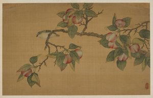 鳥と果実 清朝時代 1741年 作： Wu Zhang
