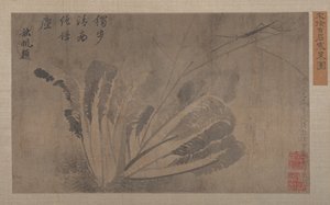 キャベツと昆虫の関係 作： Xu Daoguang