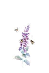 水彩画「ミツバチと花々」 作： 