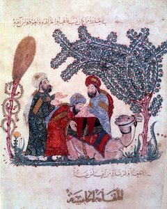 ハマムの息子であるブルジョアのアル・ハリト（Al Harith）は、放浪の航海者アブ・ザイード（Abu Zayd）からのメッセージを発見する。 アブ・モハメッド・アル・カシム・イブン・アリ・ハリト（またはアル・ハリトまたはアル・ハリト）（1054-1122）の「Maqamat」（降霊）から取られたミニチュアが盛り込まれている。