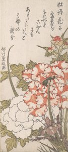 牡丹とアイリス 18-19世紀