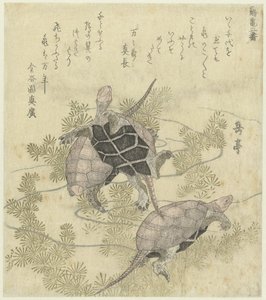 水草の間の3匹のカメ 鶴と亀の二枚組（シリーズ名） 鶴亀二番 作： Yashima Gakutei