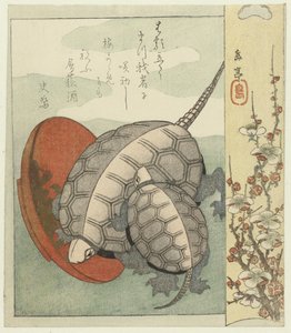 亀の酒盃 作： Yashima Gakutei