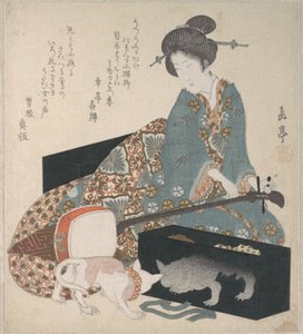三味線を調弦する女性と自分の姿を映して見る猫 作： 八島学亭