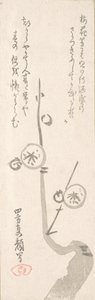 梅の花。