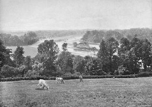 リッチモンドヒル、サリー、c1896から 作： York and Son