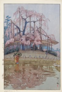 春の雨