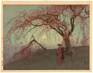 クモイサクラ（雲井桜