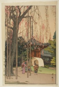 川越の桜の木 作： Yoshida Hiroshi
